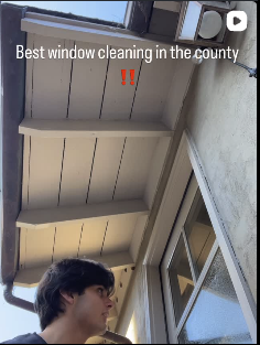 Professional cleaning technique demonstration